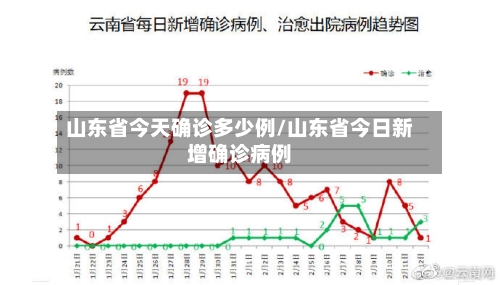 山东省今天确诊多少例/山东省今日新增确诊病例-第3张图片