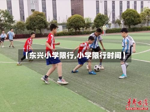 【东兴小学限行,小学限行时间】-第2张图片