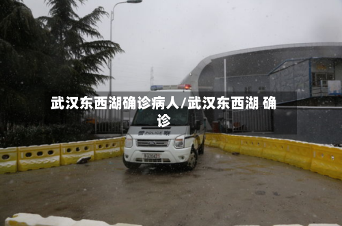 武汉东西湖确诊病人/武汉东西湖 确诊