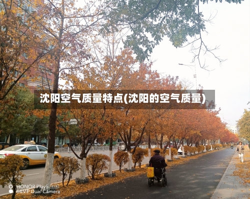 沈阳空气质量特点(沈阳的空气质量)