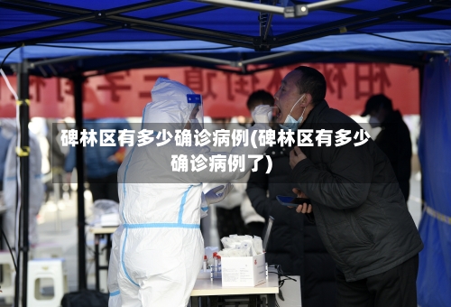 碑林区有多少确诊病例(碑林区有多少确诊病例了)-第2张图片