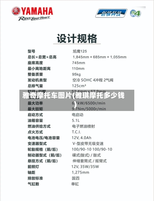 雅奇摩托车图片(雅琪摩托多少钱)-第2张图片