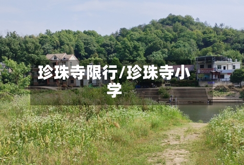 珍珠寺限行/珍珠寺小学-第2张图片