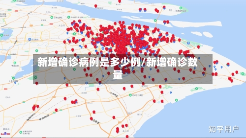新增确诊病例是多少例/新增确诊数量-第3张图片