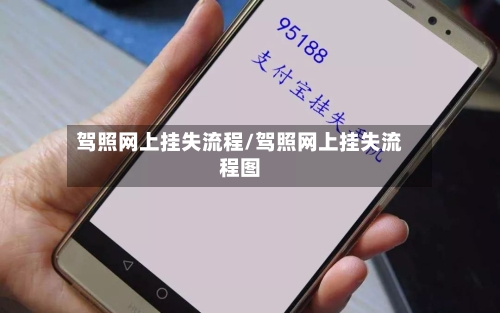 驾照网上挂失流程/驾照网上挂失流程图