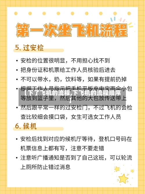 【下了飞机的流程,下飞机的流程顺序】