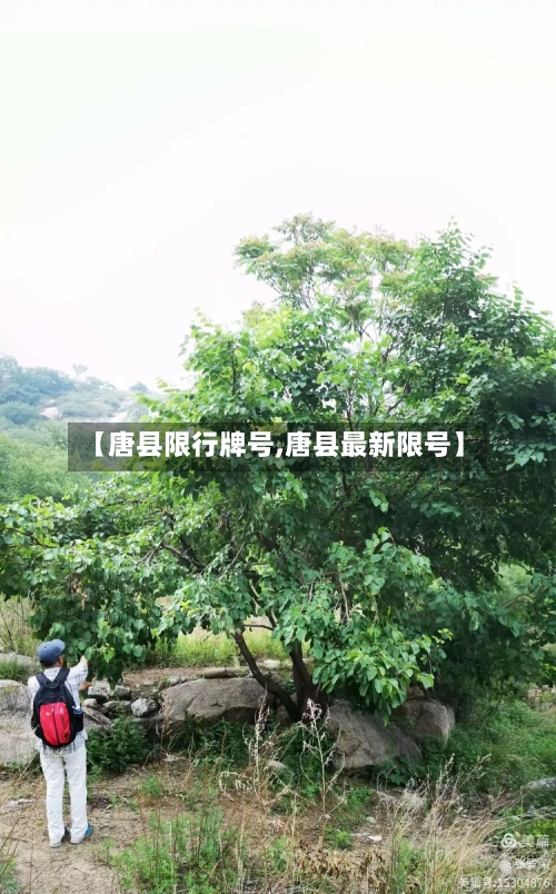 【唐县限行牌号,唐县最新限号】