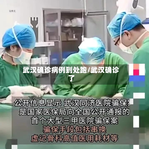 武汉确诊病例到处跑/武汉确诊了