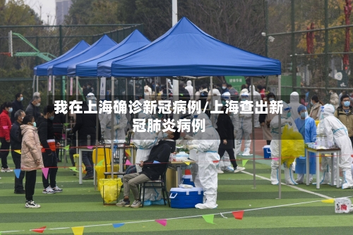 我在上海确诊新冠病例/上海查出新冠肺炎病例