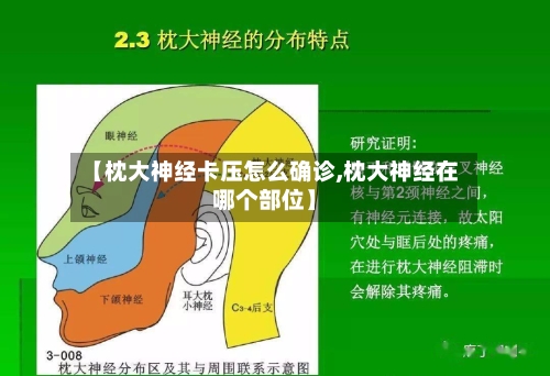 【枕大神经卡压怎么确诊,枕大神经在哪个部位】