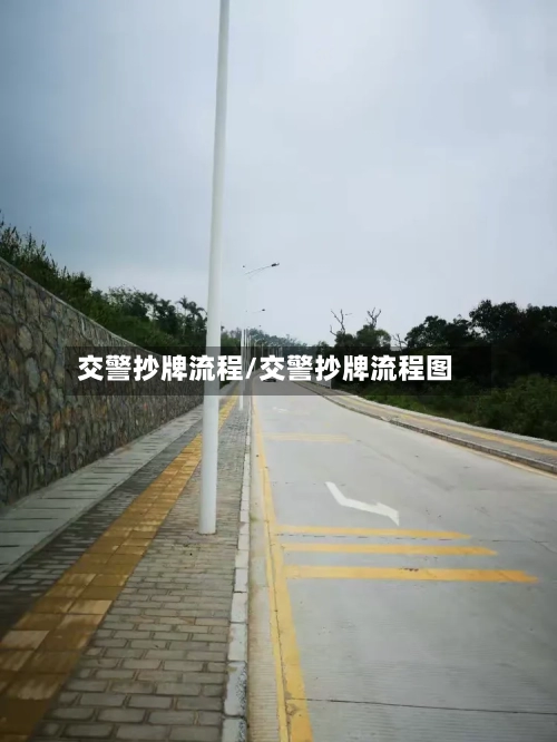 交警抄牌流程/交警抄牌流程图-第3张图片