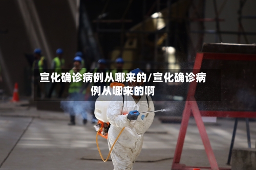 宣化确诊病例从哪来的/宣化确诊病例从哪来的啊-第1张图片