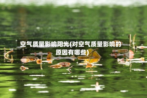 空气质量影响阳光(对空气质量影响的原因有哪些)-第2张图片