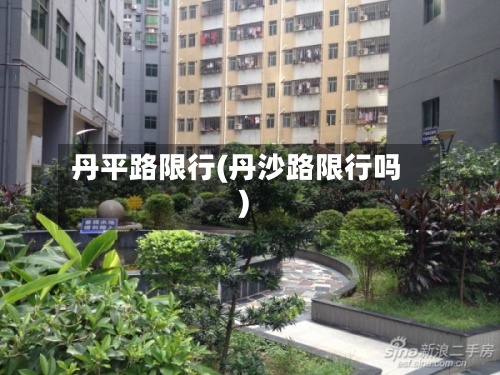 丹平路限行(丹沙路限行吗)-第3张图片