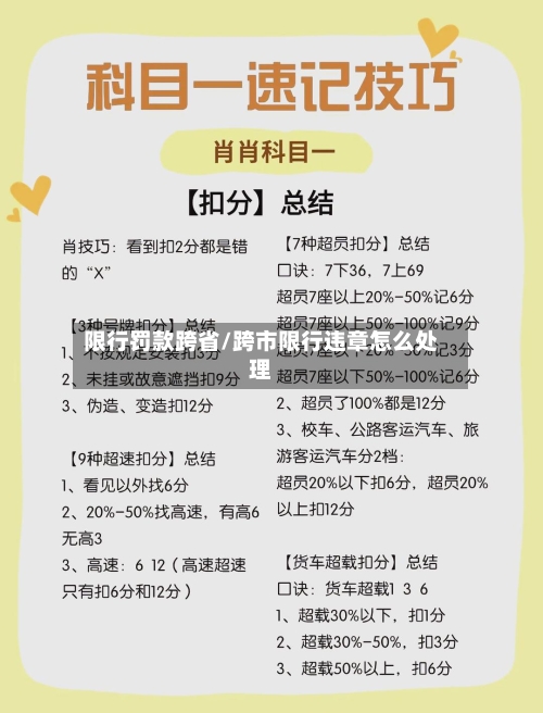 限行罚款跨省/跨市限行违章怎么处理-第3张图片