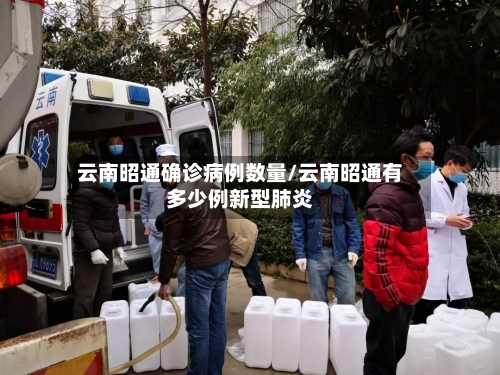 云南昭通确诊病例数量/云南昭通有多少例新型肺炎