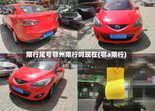 限行尾号鄂州限行吗现在(鄂a限行)