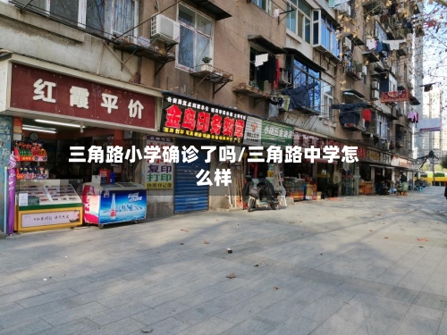 三角路小学确诊了吗/三角路中学怎么样-第2张图片