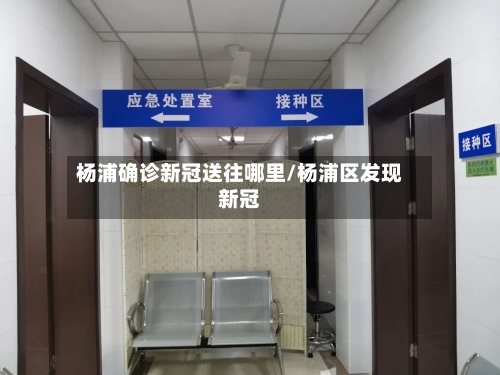 杨浦确诊新冠送往哪里/杨浦区发现新冠-第3张图片