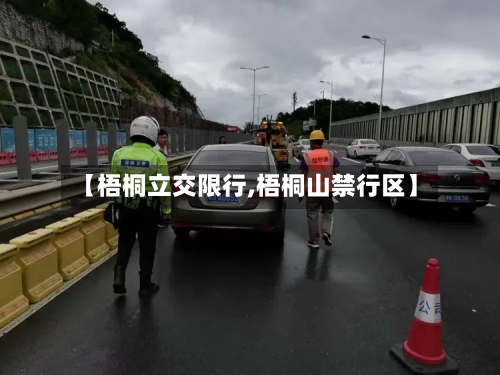 【梧桐立交限行,梧桐山禁行区】-第3张图片