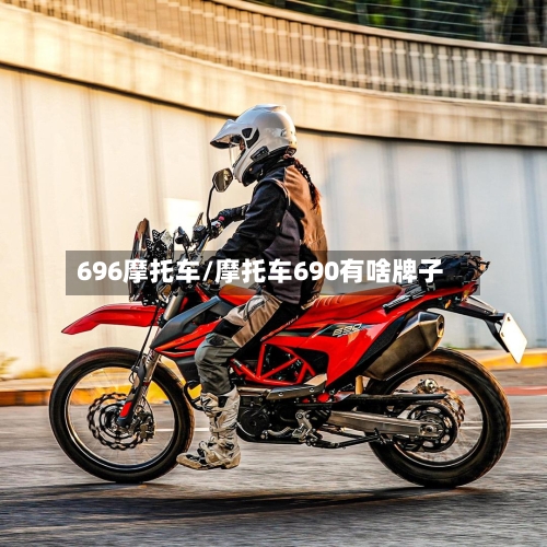 696摩托车/摩托车690有啥牌子-第2张图片